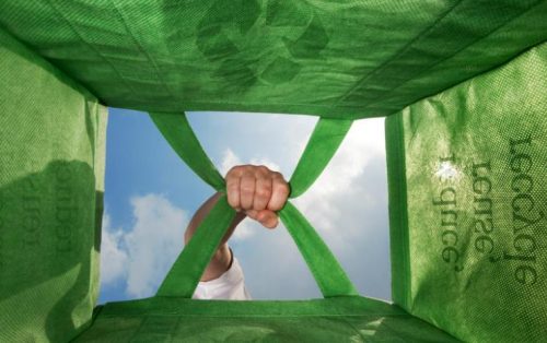 How to Avoid Plastics in Your Daily Routine Life - Use reusable bags for shopping