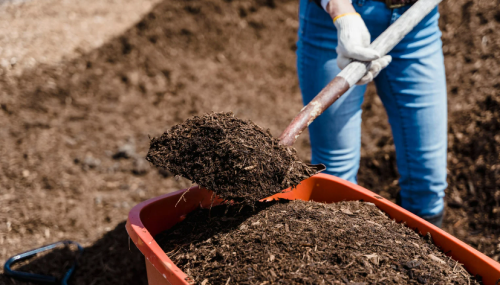 Ways to Reduce Waste in the Workplace - Start Composting