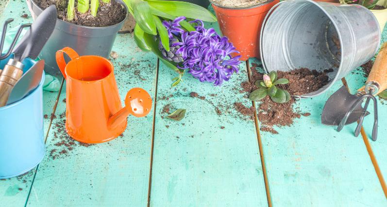 Top Spring Gardening Tips