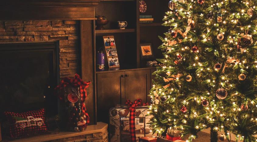 How to Reuse and Dispose of a Christmas Tree