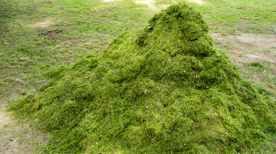 6 Effective Ways to Get Rid of Green Waste Waste Removal London