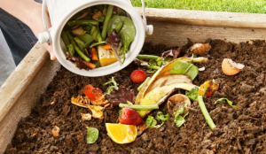 Make an Effort to Compost your Food Waste
